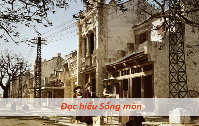 Bộ đề đọc hiểu văn bản Sống mòn