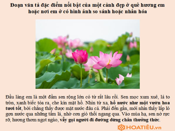 Viết đoạn văn tả đặc điểm nổi bật của một cảnh đẹp ở quê hương em hoặc nơi em ở có hình ảnh so sánh hoặc nhân hoá