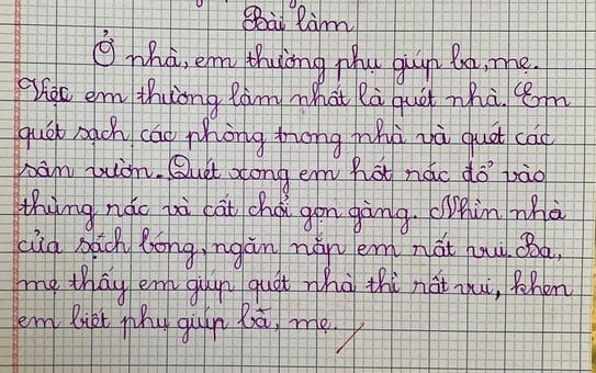 Viết 2 - 3 câu kể về một việc em đã làm ở nhà