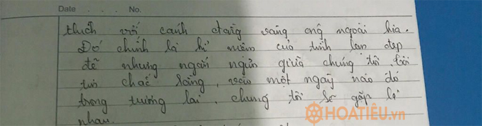 Viết đoạn văn miêu tả cảm xúc của nhân vật cáo sau khi từ biệt hoàng tử bé