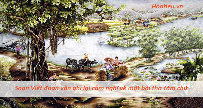 Viết đoạn văn ghi lại cảm nghĩ về một bài thơ tám chữ