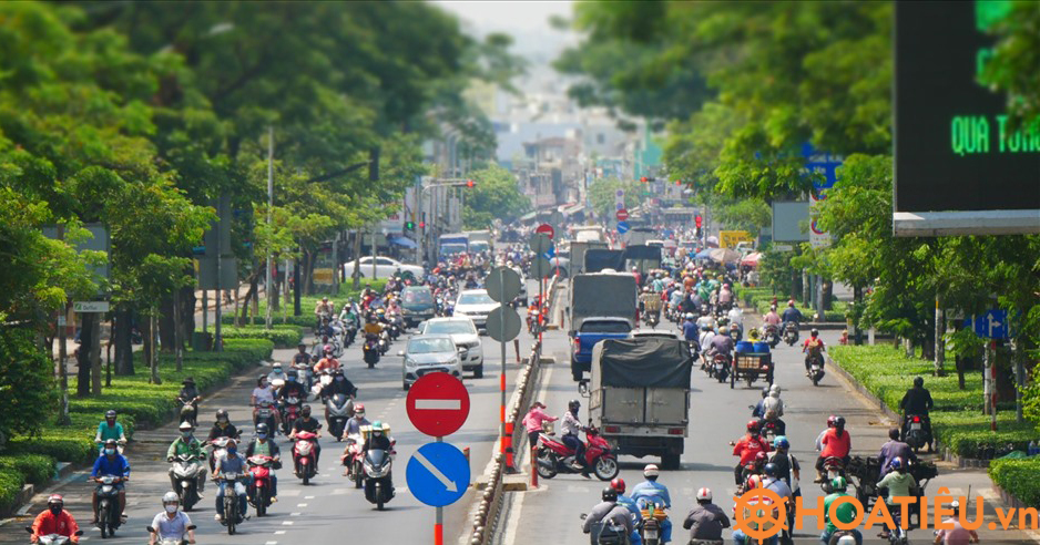 Giấy phép lái xe cấp trước 1/1/2025 thì được cấp, đổi lại thế nào?