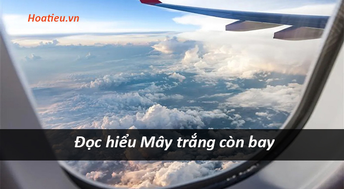 Đọc hiểu Mây trắng còn bay Bảo Ninh