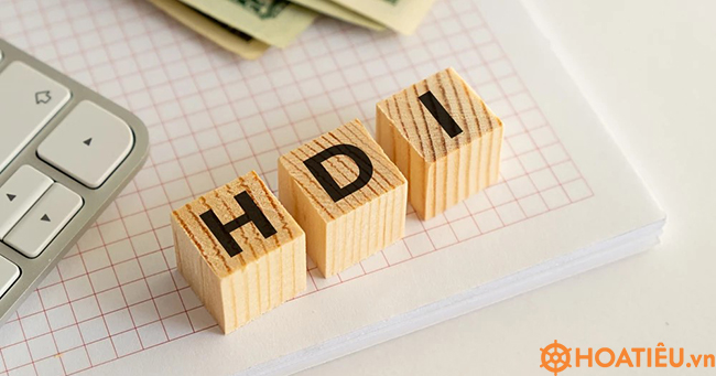 Chỉ số HDI là gì?