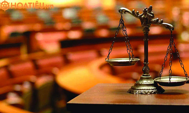 Nhà nước là một hiện tượng bất biến trong xã hội đúng hay sai?