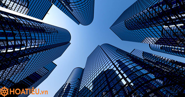 Chữ công ty có viết hoa không?