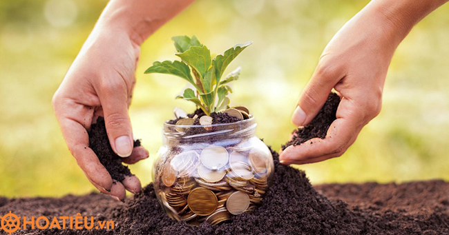 Những đối tượng được miễn, giảm tiền sử dụng đất từ 1/8/2024