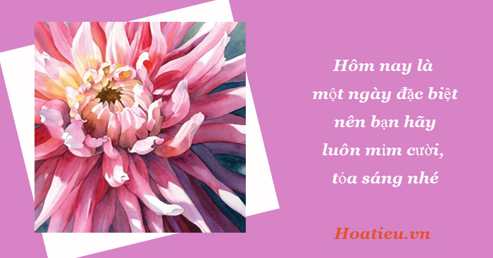 Thiệp chúc mừng 20/10 đồng nghiệp, bạn bè