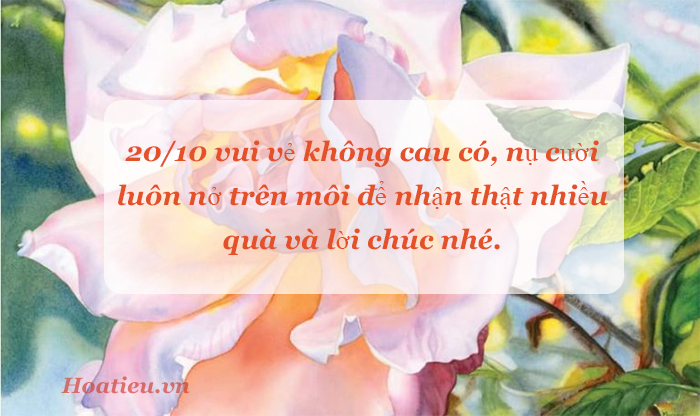 Thiệp chúc mừng 20/10 đồng nghiệp, bạn bè
