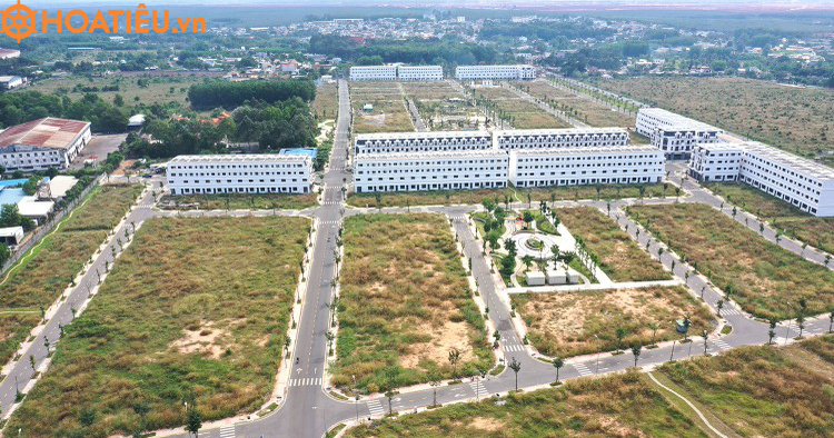 Mức phạt hành vi bỏ hoang đất theo quy định mới nhất từ 4/10/2024