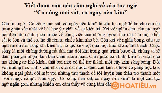 Viết đoạn văn nêu cảm nghĩ về một câu tục ngữ mà em đã học ở Bài 4