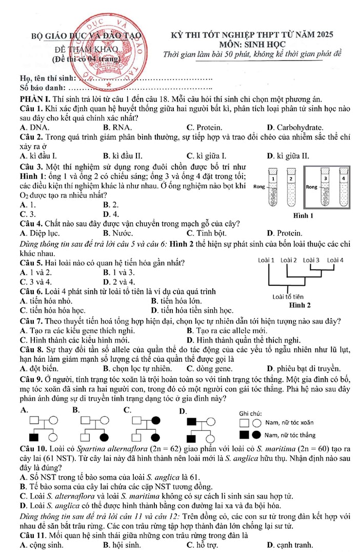 Đề minh họa Sinh 2025