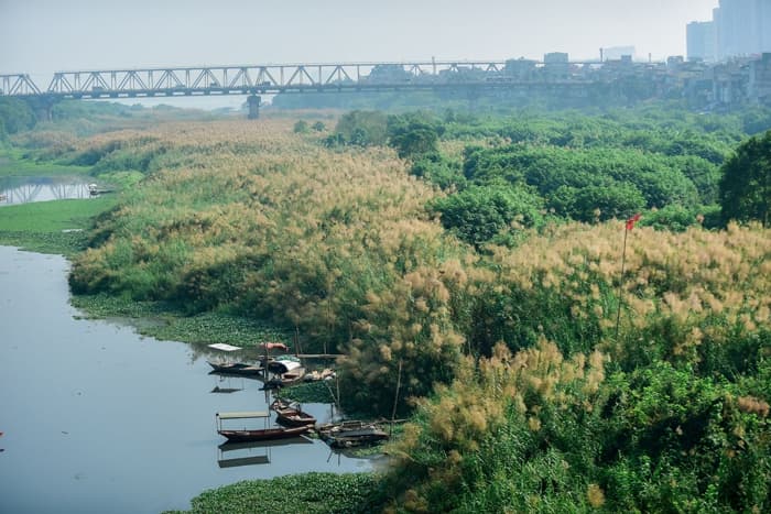 Chùm ảnh đẹp về bãi giữa sông Hồng