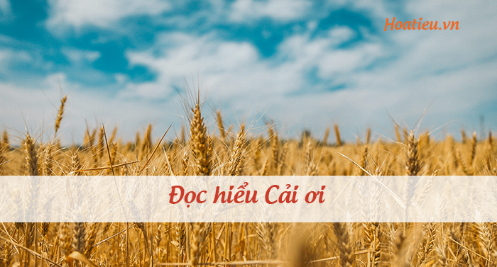 Đọc hiểu văn bản Cải ơi