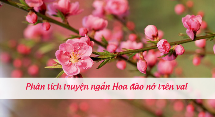 Phân tích Hoa đào nở trên vai của Vũ Thị Huyền Trang 