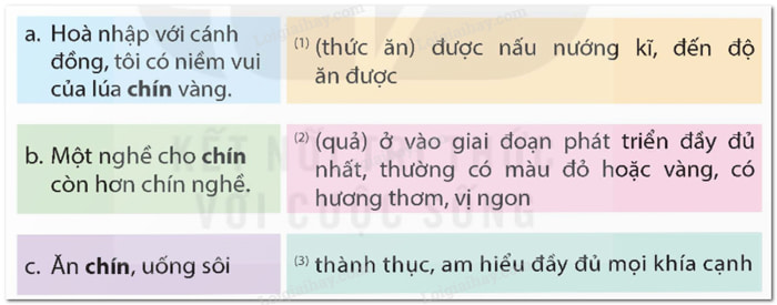 Tìm nghĩa của từ chín trong mỗi câu dưới đây