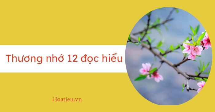 Đọc hiểu văn bản Thương nhớ mười hai