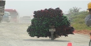 Đáp án cuộc thi Vì an toàn giao thông thủ đô 2024 THPT