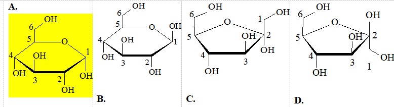 Đề thi Hóa học 12 Cánh Diều giữa kì 1