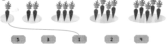 Phiếu bài tập cuối tuần môn Toán lớp 1 bộ Kết nối tri thức