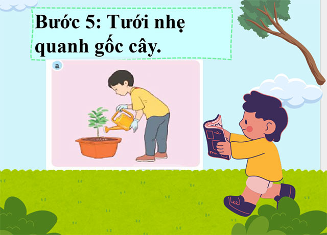 STEM Chậu cây thân thiện với môi trường