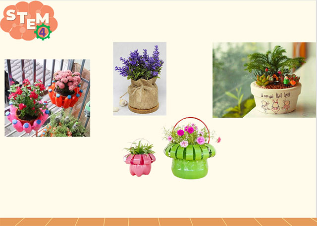 STEM Chậu cây thân thiện với môi trường