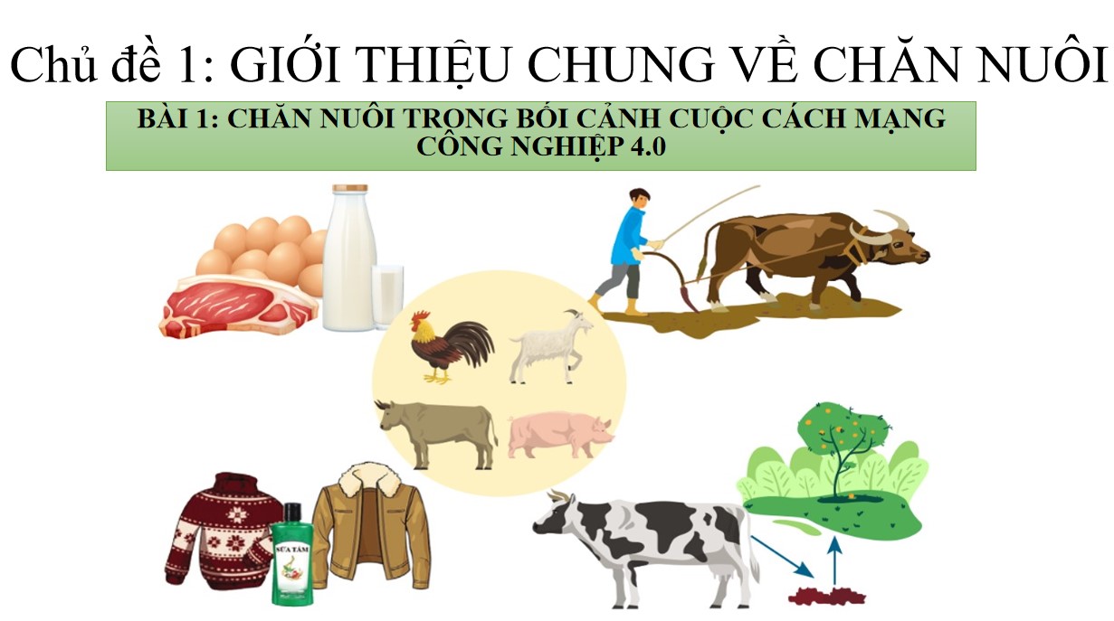 Giáo án PowerPoint Công nghệ 12 Cánh Diều bài 1