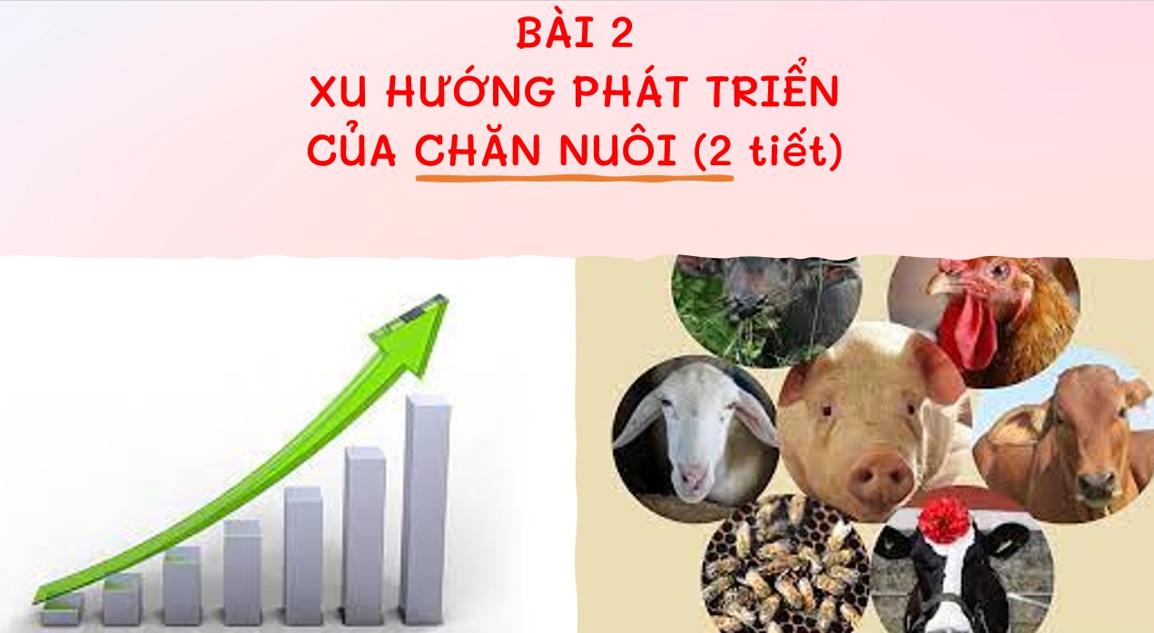Giáo án PowerPoint Công nghệ 12 Cánh Diều bài 2