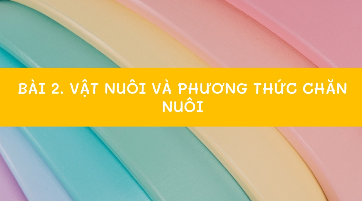 Powerpoint Công nghệ 11 Kết nối tri thức Công nghệ Chăn nuôi bài 2