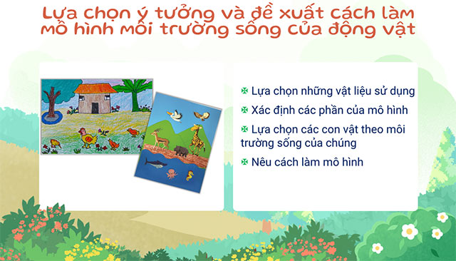 PowerPoint STEM Nơi sống của động vật