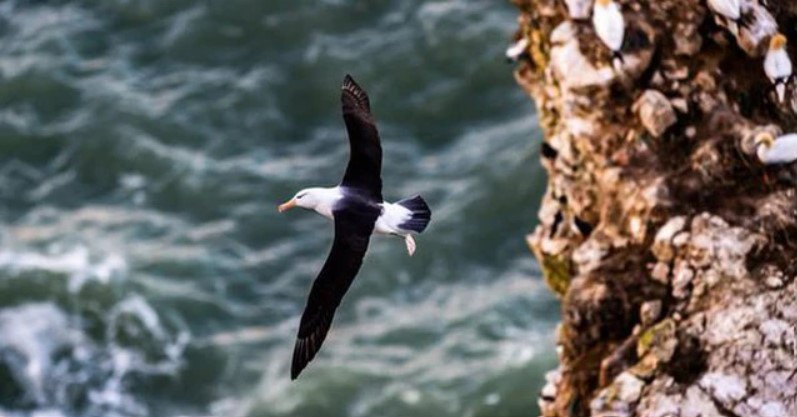 Phân tích đặc điểm nhân vật Lắc ki