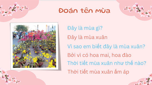 PowerPoint STEM Các mùa trong năm ở Việt Nam