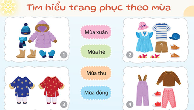 PowerPoint STEM Các mùa trong năm ở Việt Nam