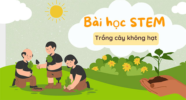 PowerPoint STEM Trồng cây không hạt