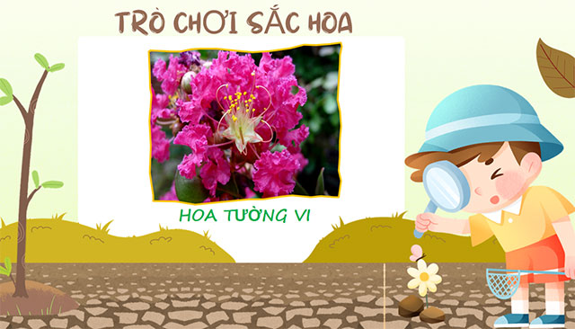 PowerPoint STEM Trồng cây không hạt