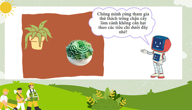 PowerPoint STEM Trồng cây không hạt