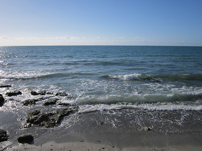 Giấc mơ của anh hề trắc nghiệm