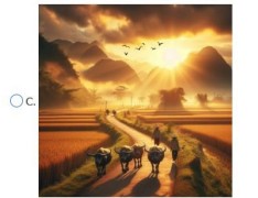 Đề thi Trạng nguyên Tiếng Việt lớp 5 năm 2024-2025