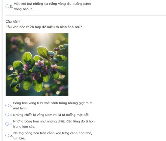 Đề thi Trạng nguyên Tiếng Việt lớp 3 năm 2024-2025