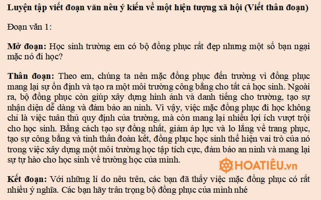 Luyện tập viết đoạn văn nêu ý kiến về một hiện tượng xã hội (Viết thân đoạn)