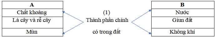 Đề cương ôn tập học kì 1 Khoa học 5 Kết nối tri thức