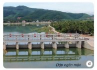 Đề cương ôn tập học kì 1 Khoa học 5 Kết nối tri thức