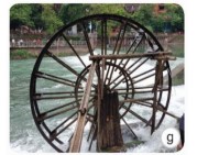 Ôn thi Khoa học lớp 5 cuối kì 1 có đáp án