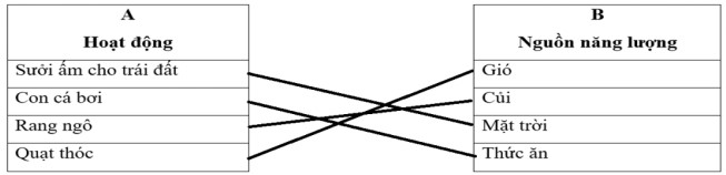 Ôn thi Khoa học lớp 5 cuối kì 1 có đáp án