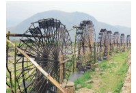 Đề cương ôn thi Khoa học lớp 5 cuối kì 1 có đáp án