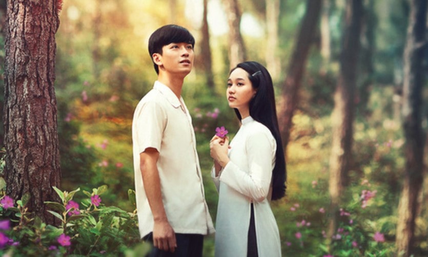 Đọc hiểu văn bản Mắt biếc