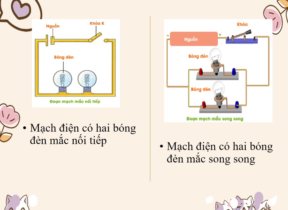 Bài giảng PowerPoint KHTN 9 Kết nối tri thức Bài 12