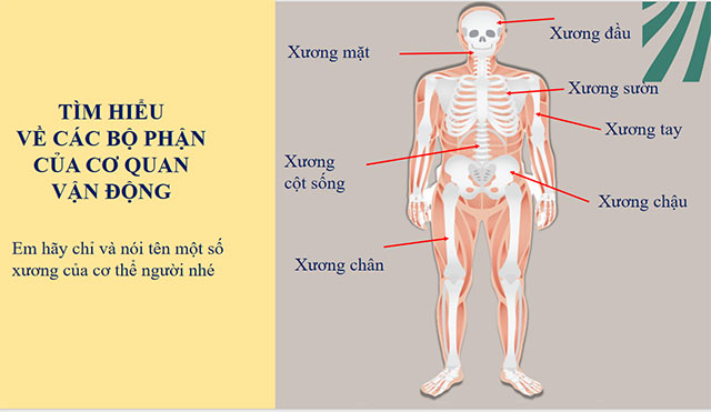 PowerPoint STEM Làm bàn tay Rô-bốt