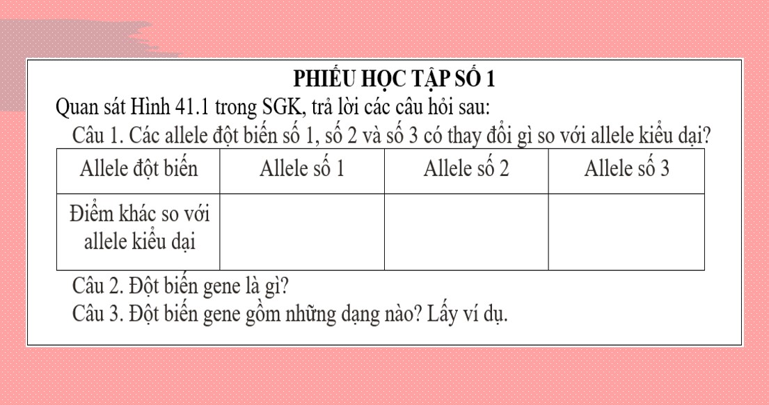 Bài giảng PowerPoint KHTN 9 Kết nối tri thức Bài 41