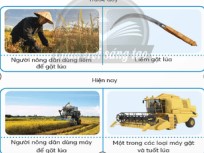 Đề cương ôn tập Học kì 1 Công nghệ 5 Kết nối tri thức